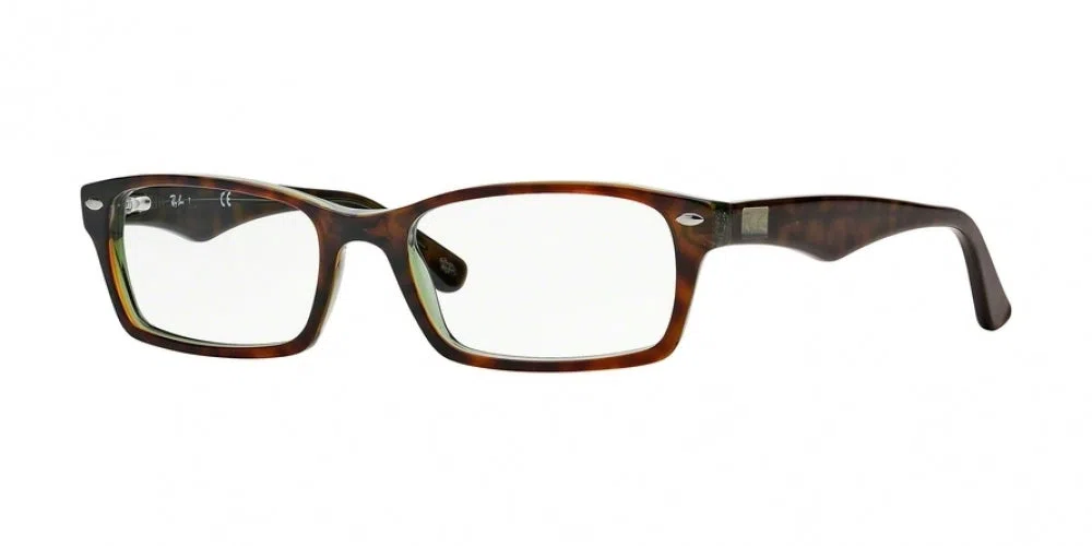 Ray-Ban 5206 Eyeglasses - view 3